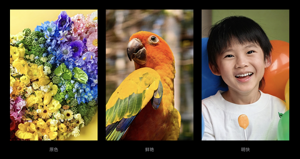 1690946472524643.png 图片9.png
