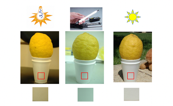 1690946497452342.png 图片11.png