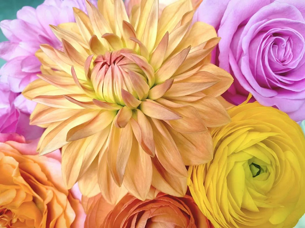 1690946616219211.png 图片22.png